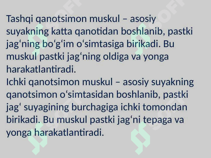 Preview 6