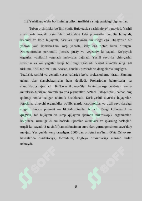 Preview 5