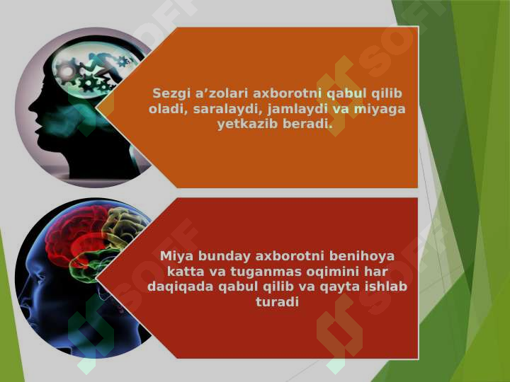 Preview 7