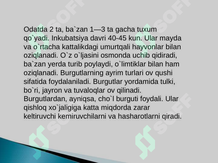 Preview 7