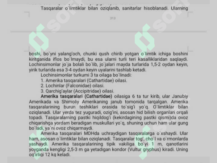 Preview 7