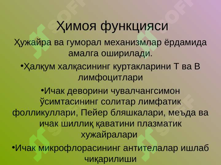 Preview 8