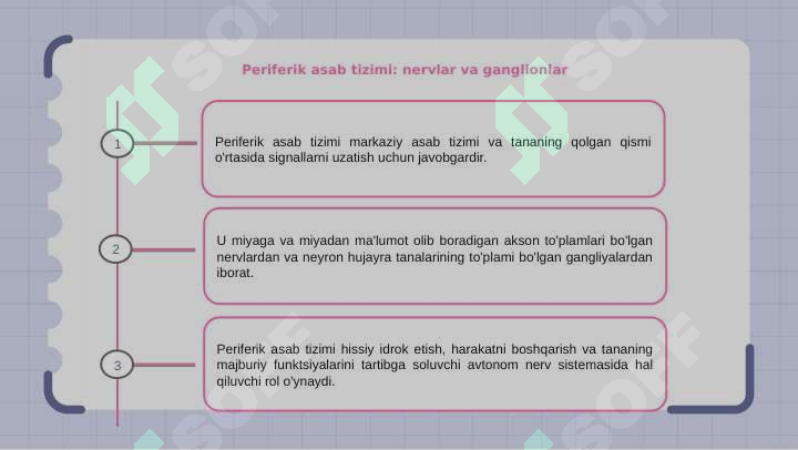 Preview 7