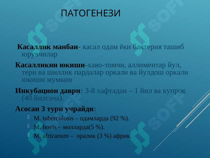Preview 7