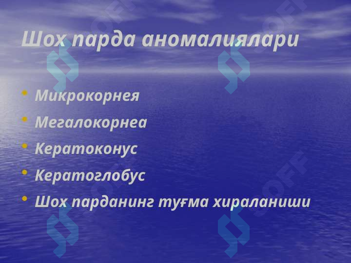 Preview 4