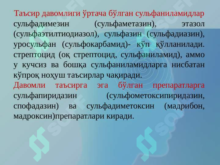 Preview 8