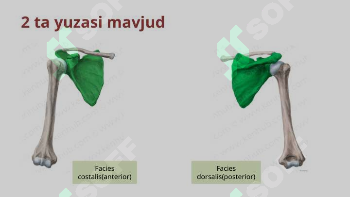 Preview 7