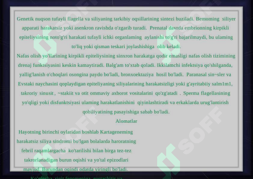 Preview 4