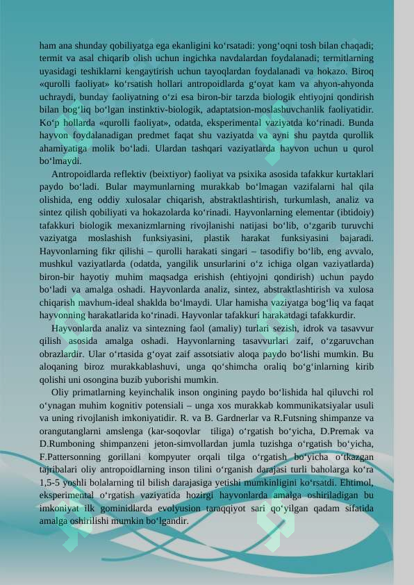 Preview 7