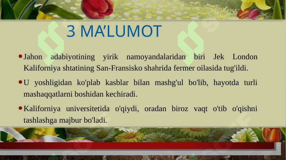 Preview 2
