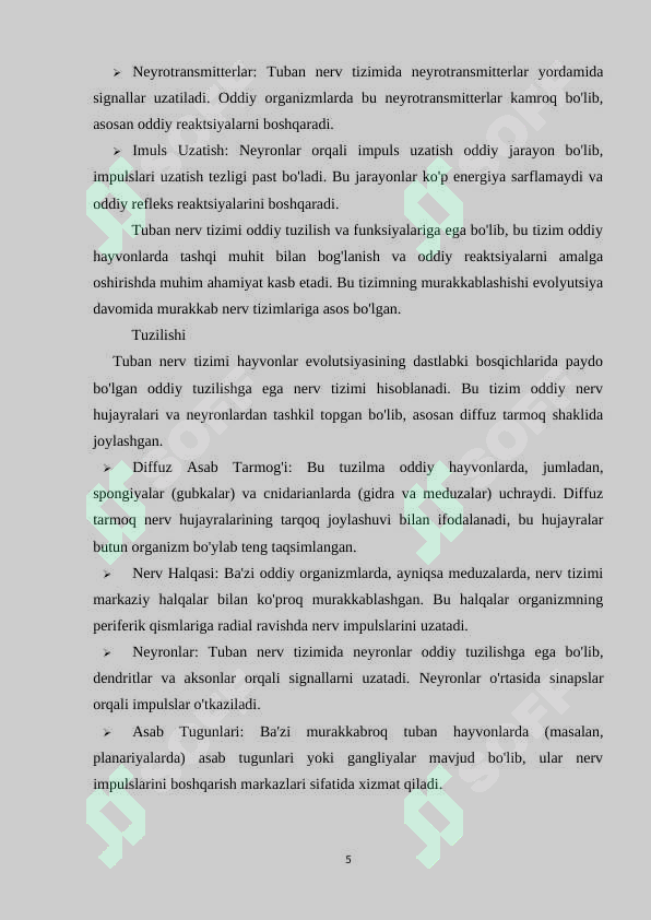 Preview 5
