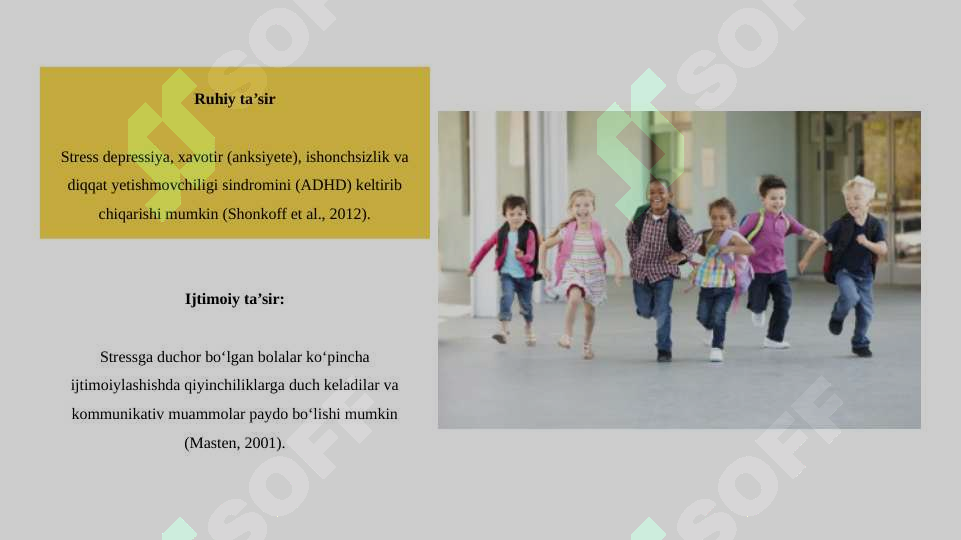 Preview 8