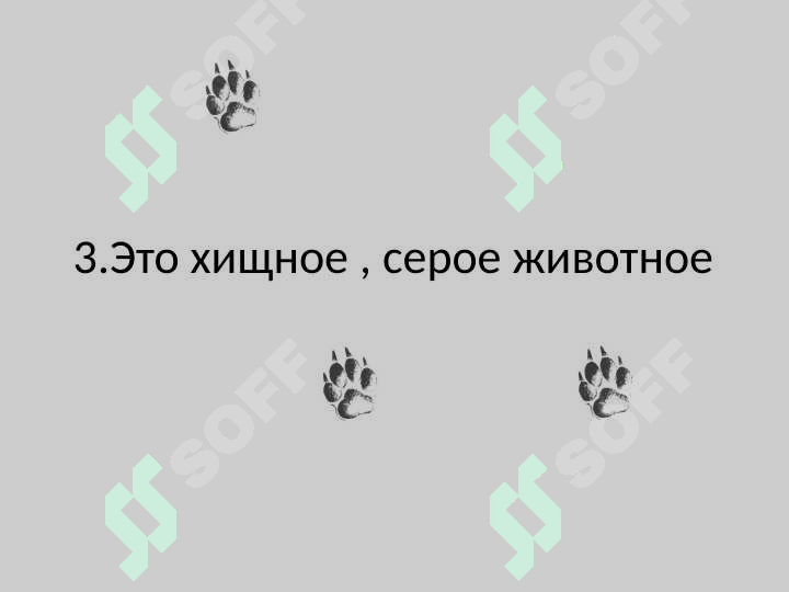 Preview 6
