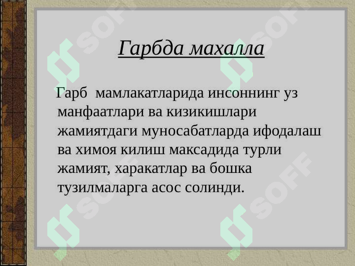 Preview 4