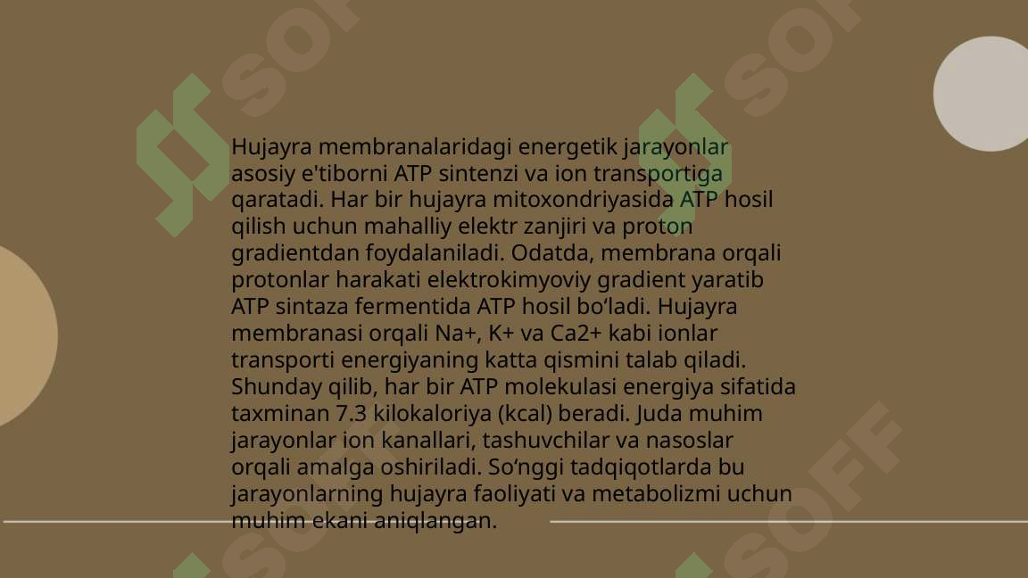 Preview 7