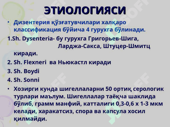 Preview 7