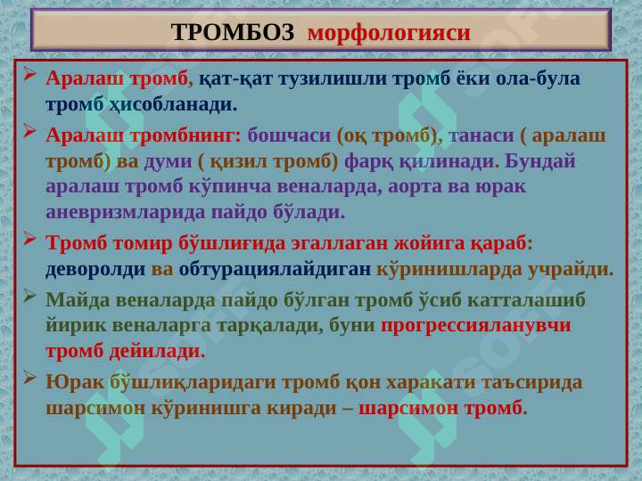 Preview 5