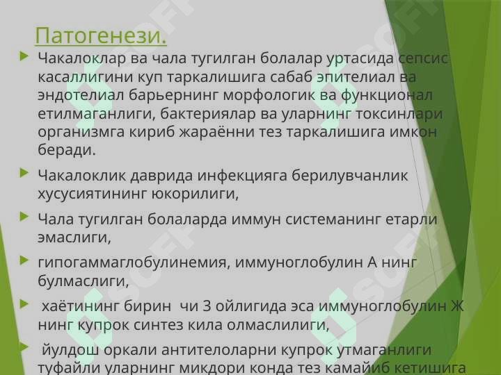 Preview 5
