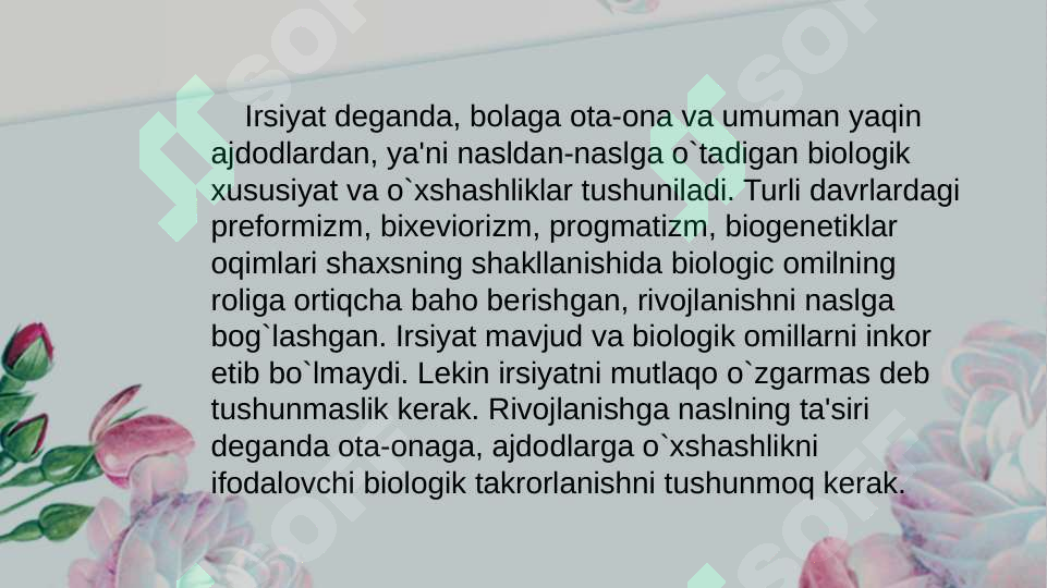 Preview 8
