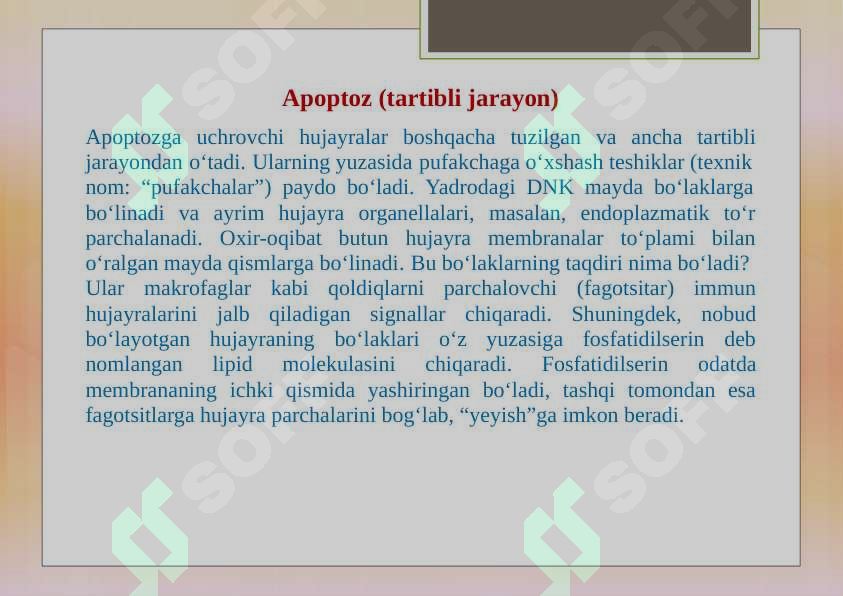 Preview 8