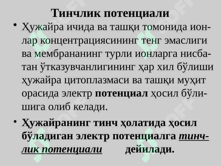 Preview 5