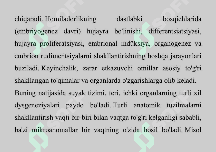 Preview 7