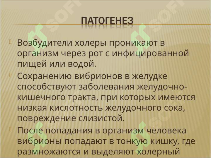Preview 7