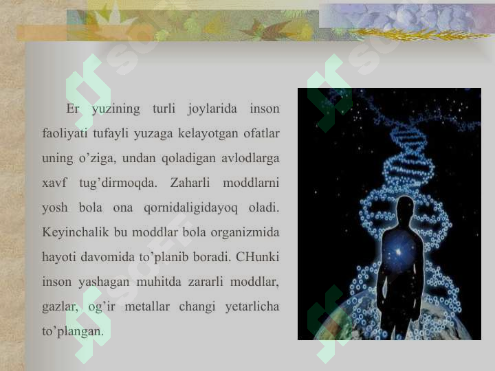 Preview 5