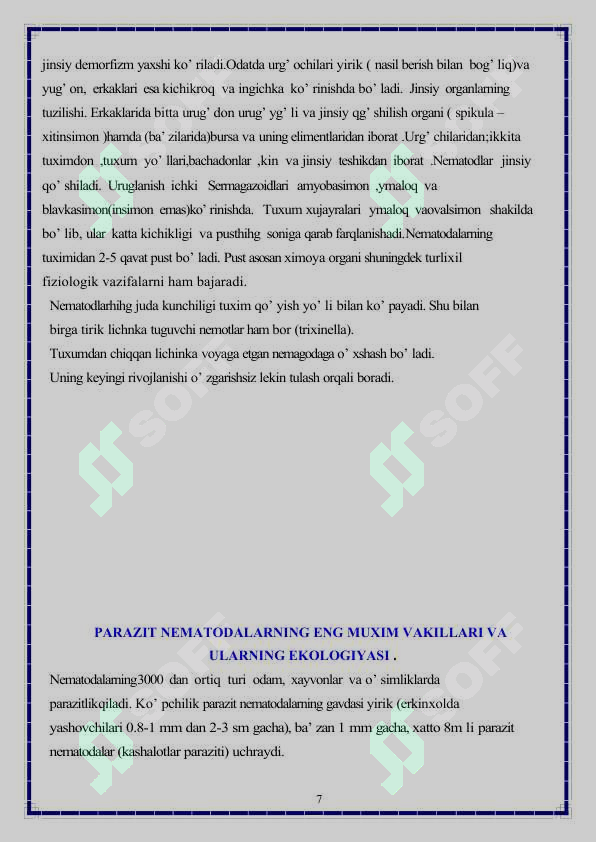 Preview 7