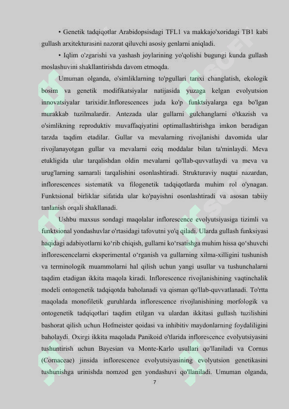 Preview 7