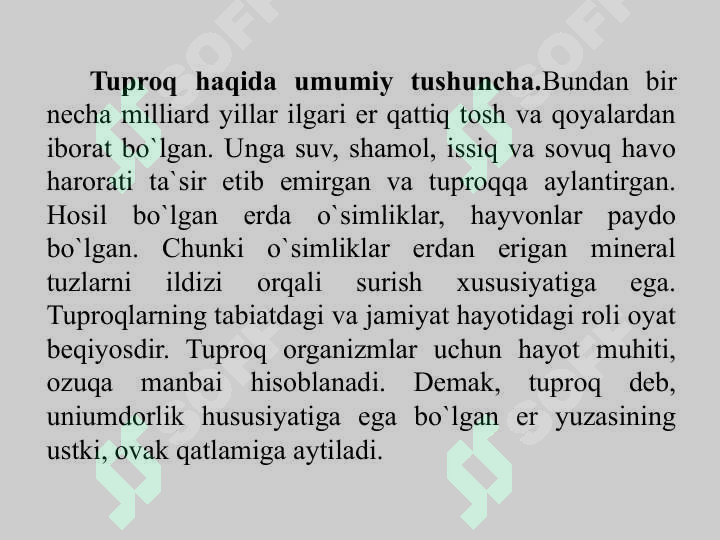 Preview 5