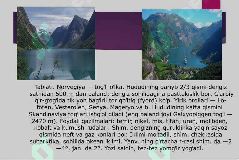 Preview 4
