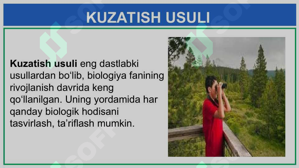 Preview 8