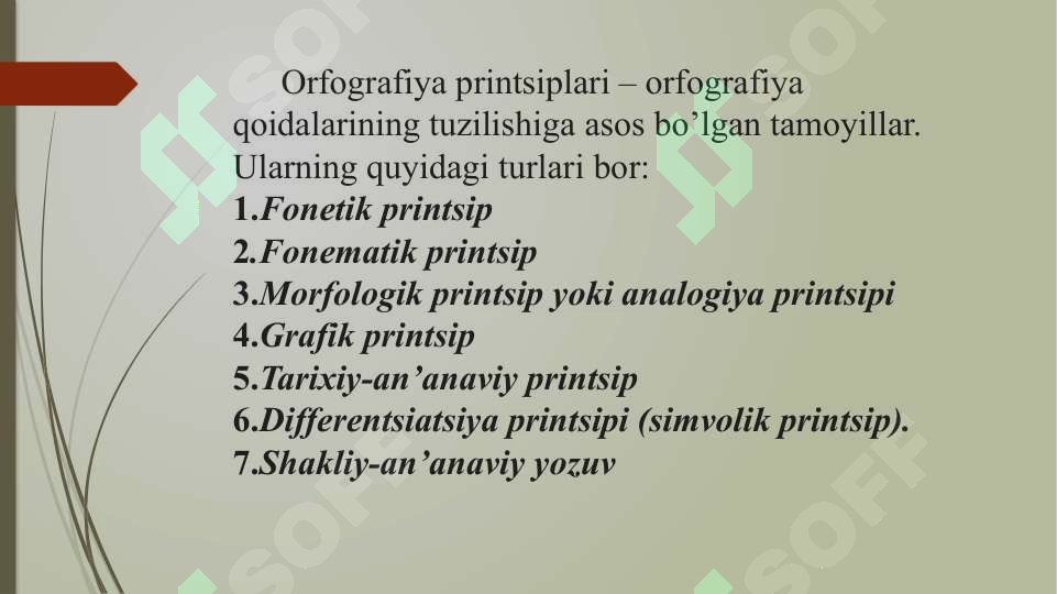 Preview 5