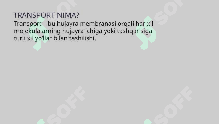 Preview 7