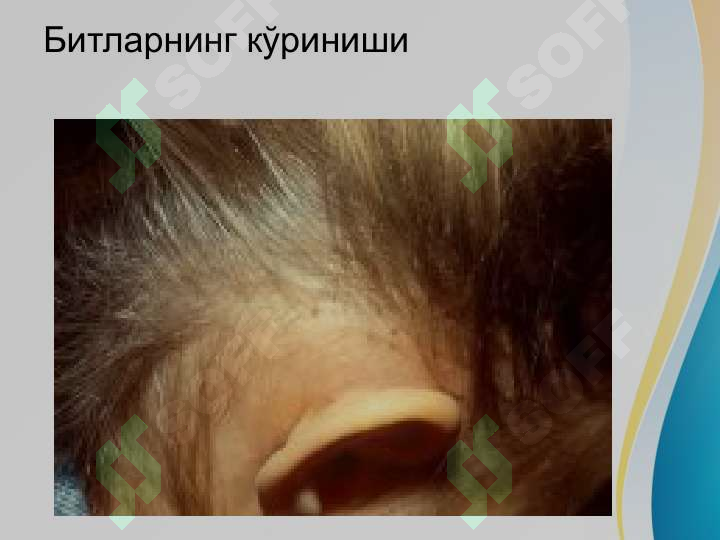 Preview 8