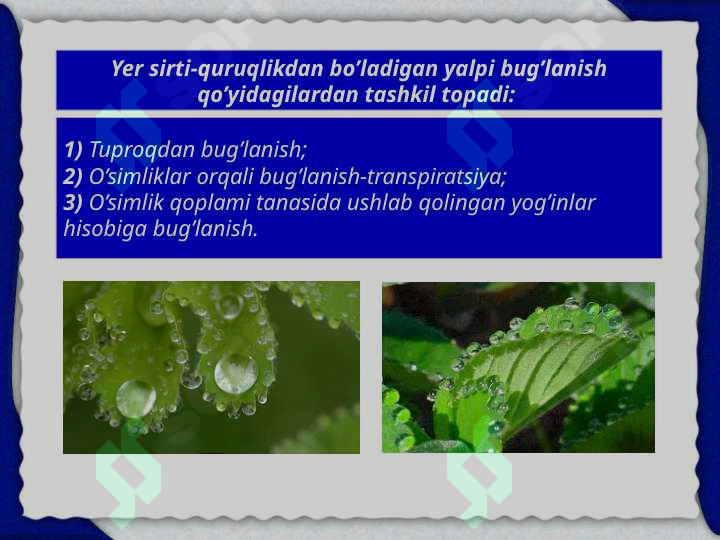 Preview 8