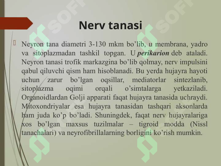 Preview 7