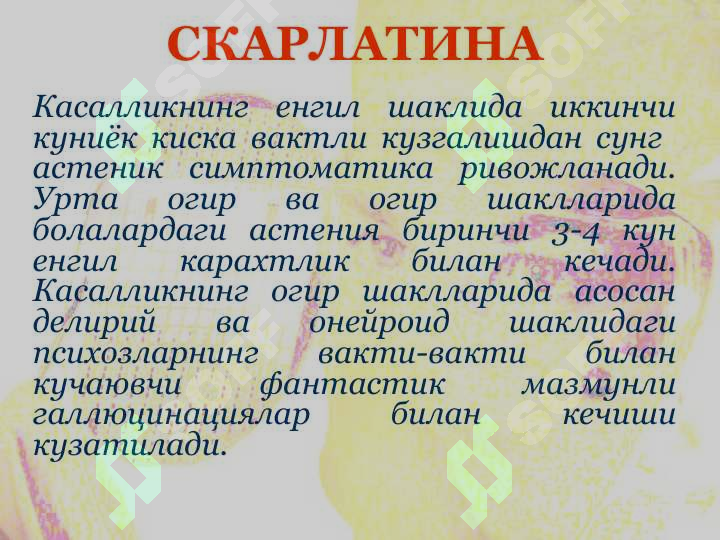Preview 7