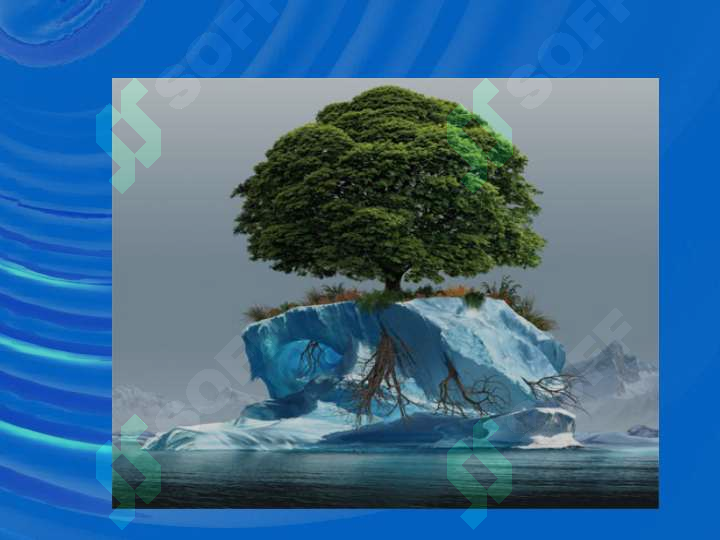 Preview 7