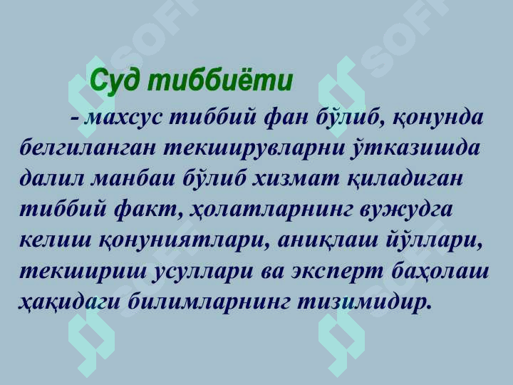 Preview 6