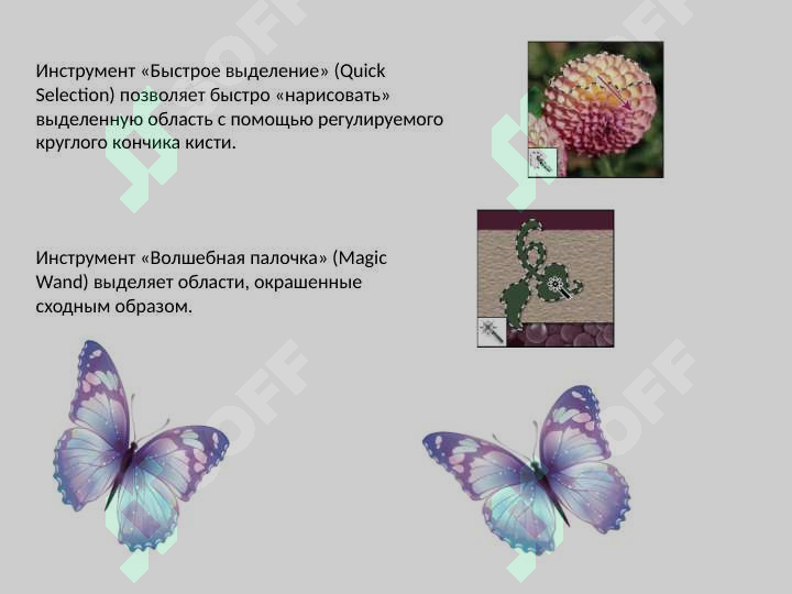 Preview 8