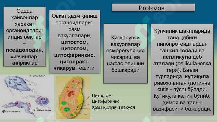 Preview 6