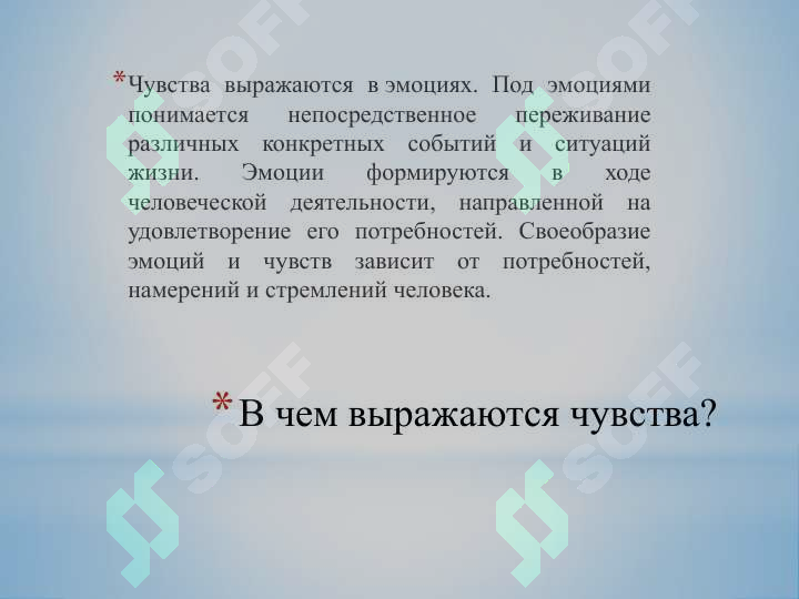 Preview 5