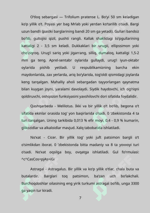 Preview 7