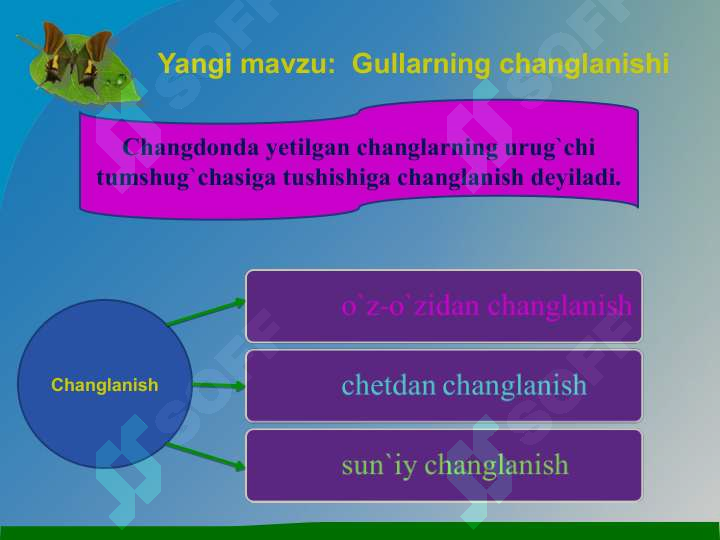 Preview 7