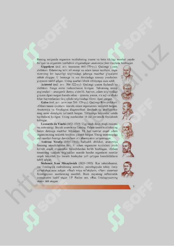 Preview 5
