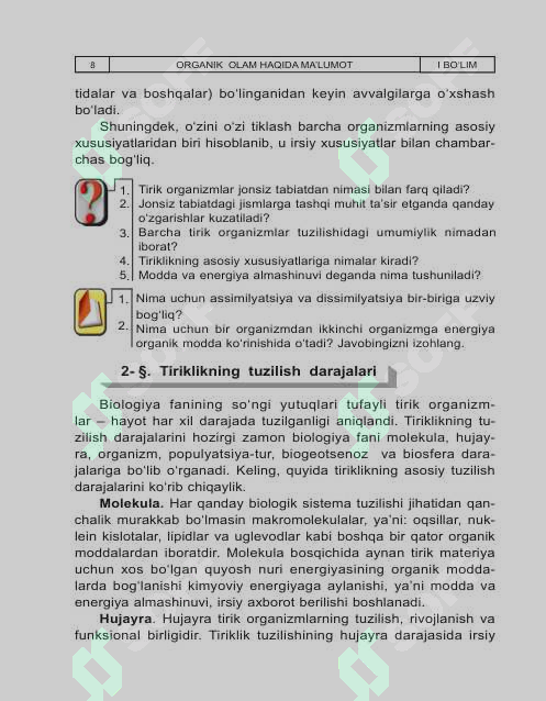 Preview 8