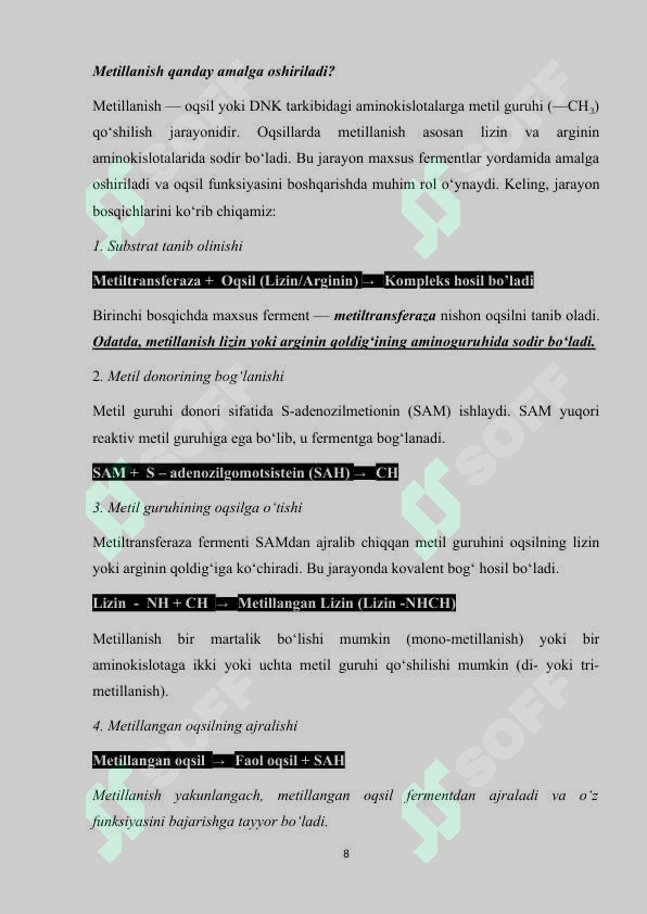 Preview 8