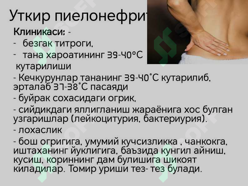 Preview 8